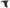 Seibon 93-98 Toyota Supra TV-Style Carbon Fiber Fenders (Pair)